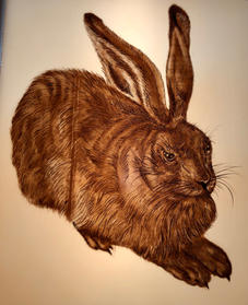 The Hare - close up