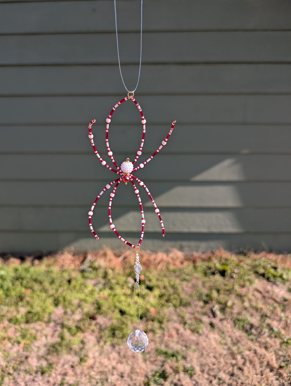Thumbnail: 'Oxalis Versicolor' Spider Suncatcher/ Christmas Ornament 