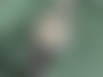 【買取実績】ロレックス オイスターパーペチュアル デイト Ref.69420