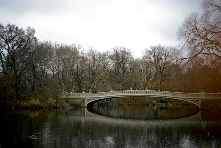 BF740E32-577C-4F6C-9210-8F126E1730A2_1_105_c.jpeg