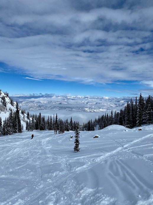 2A829106-09B1-42E6-8AB2-0C427755FF3B_1_105_c.jpeg