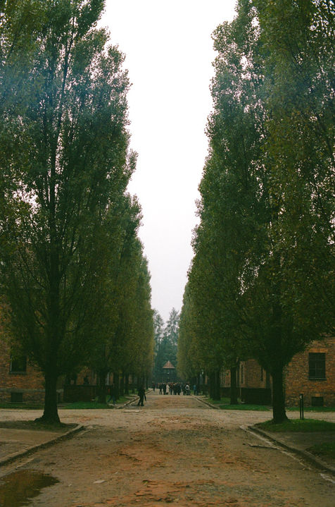 BD13CF83-672B-4341-A5F4-61CF73AB47E6_1_105_c.jpeg