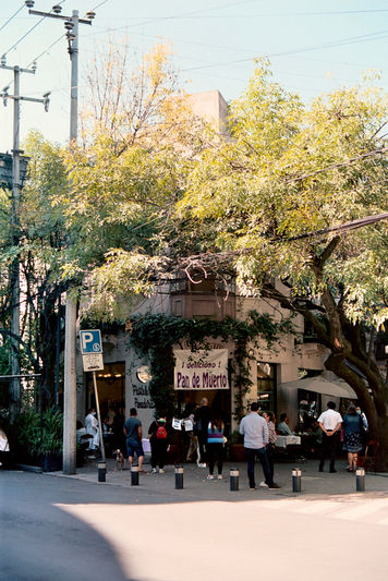 61AA5916-8B45-47DE-A138-0A1186D0D5FA_1_105_c.jpeg