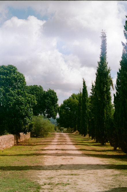 2E60ADB9-B854-457D-B3F9-6719BF9FAEC7_1_105_c.jpeg