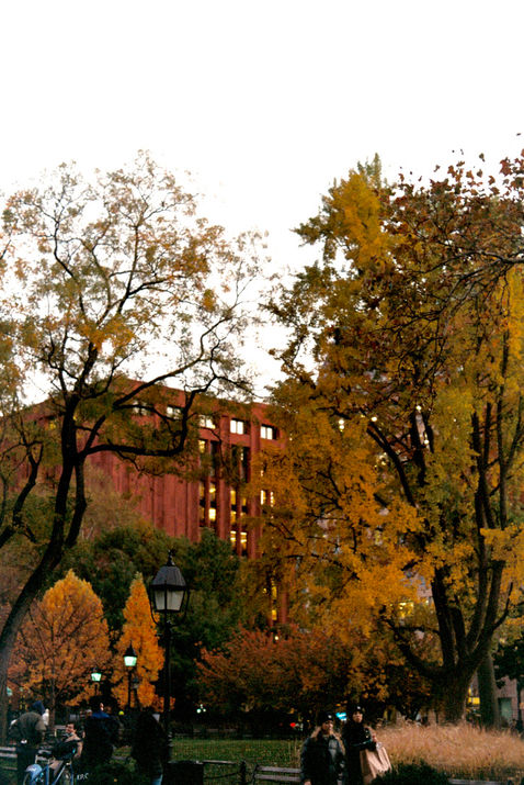 99DB8AEC-F9FB-447A-BE72-E739135A66E2_1_105_c.jpeg