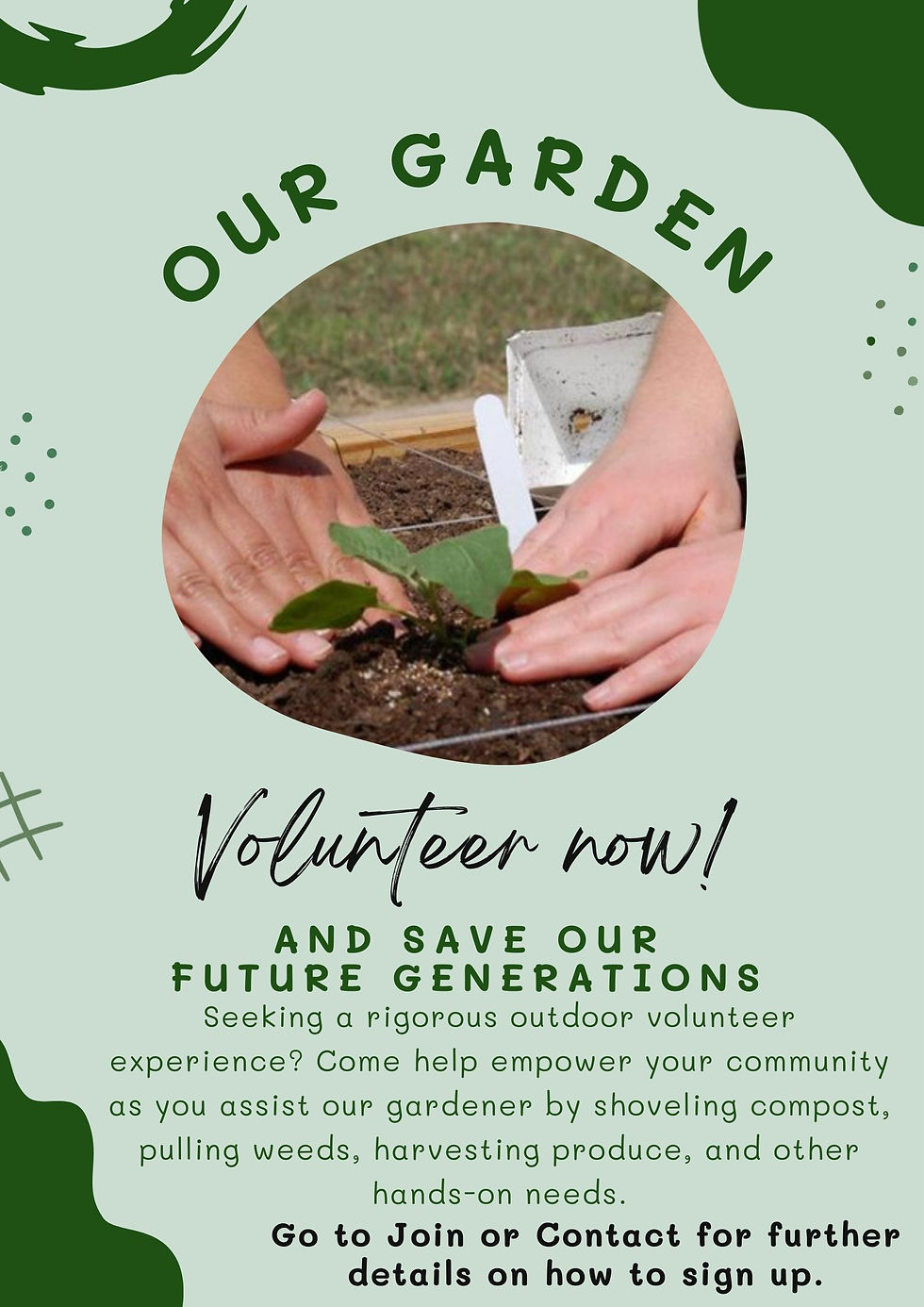 Volunteer in Our Garden