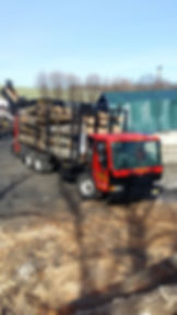 Elite Tree Service Mendhan NJ