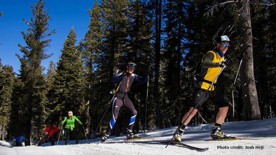 AlpenglowMountainFestival.gif