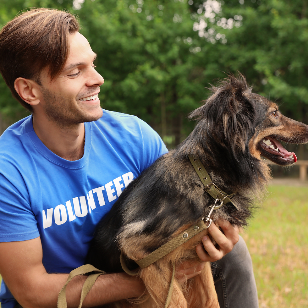Man with blue t-shirt that reads volunteer, happily holds small black and tan rescue dog. 