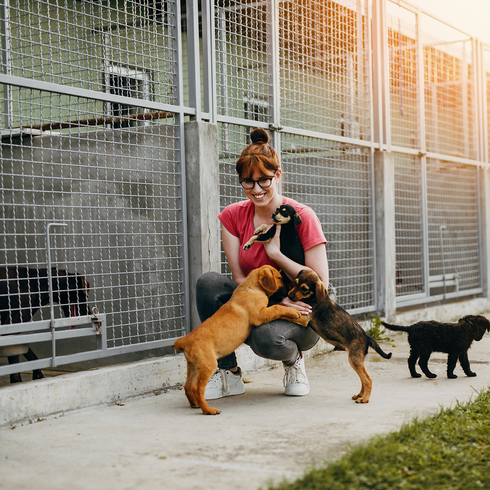 Woman crouched down outside animal shelter cages with three dogs happily surrounding her