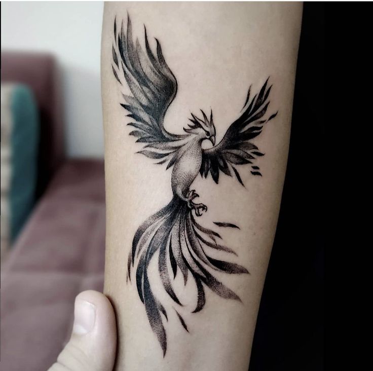 Phoenix Tattoo