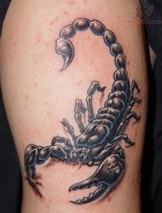 Snake tattoo