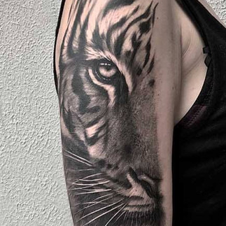 Tatuagem de Tigre
