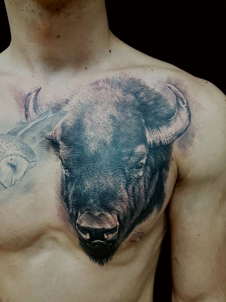 Bison Tattoo