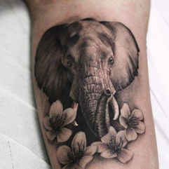 Elephant Tattoo