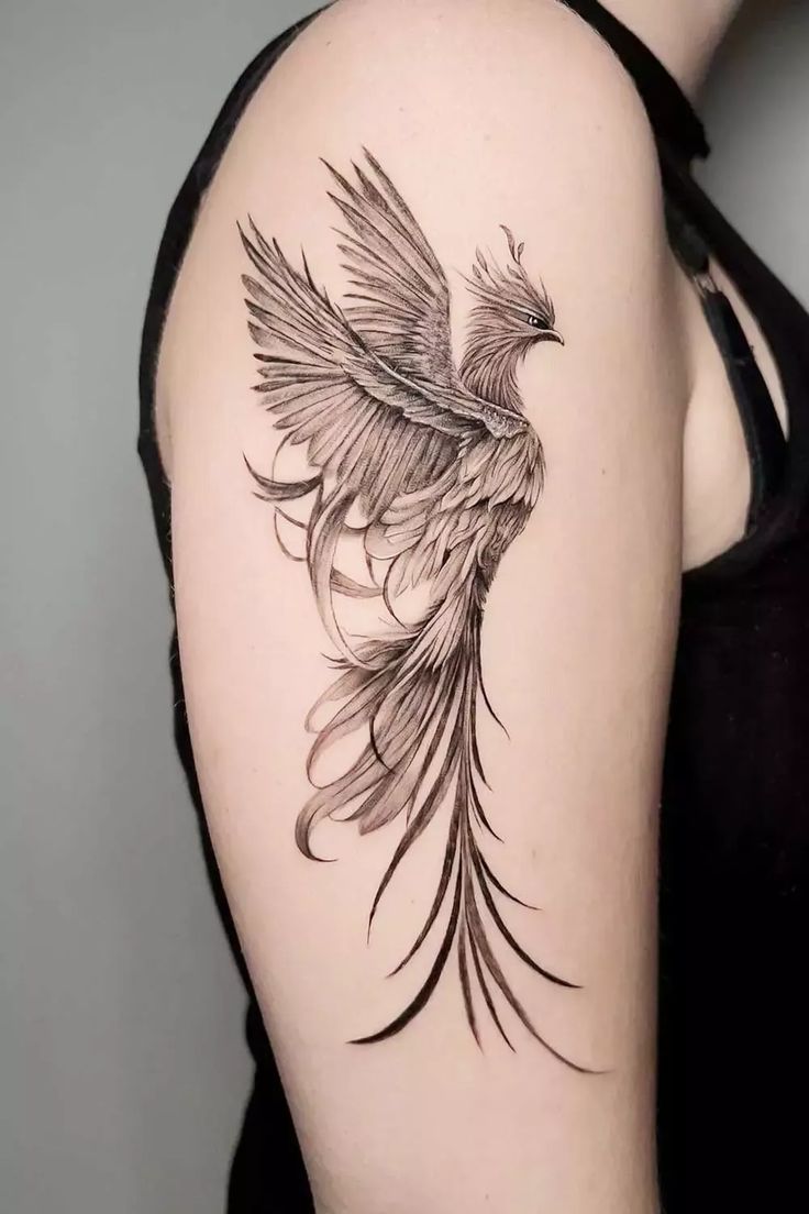 Phoenix Tattoo