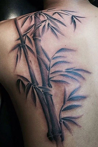 Bamboo Tattoo