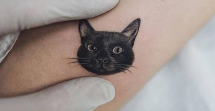 tatuagem de gatinho