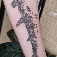 Shark Tattoo