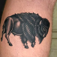 Bison Tattoo