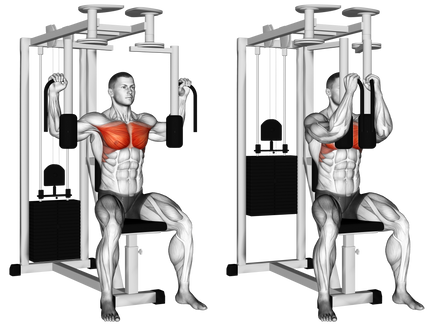 Pec Deck Fly