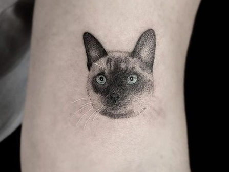 Purr-fect Cat Tattoo Ideas: 38 ideas for Your Next Tattoo