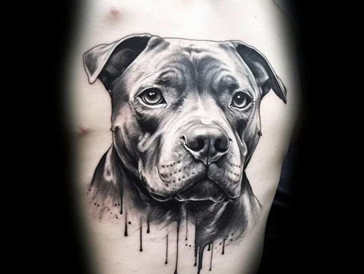 Pitbull Tattoos