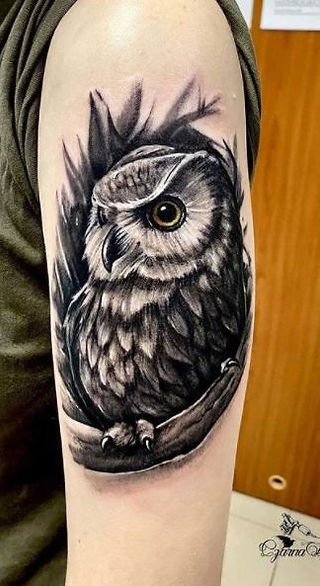 Owl Tattoos: Deep Meanings, Symbolism, and 2026 Design Ideas