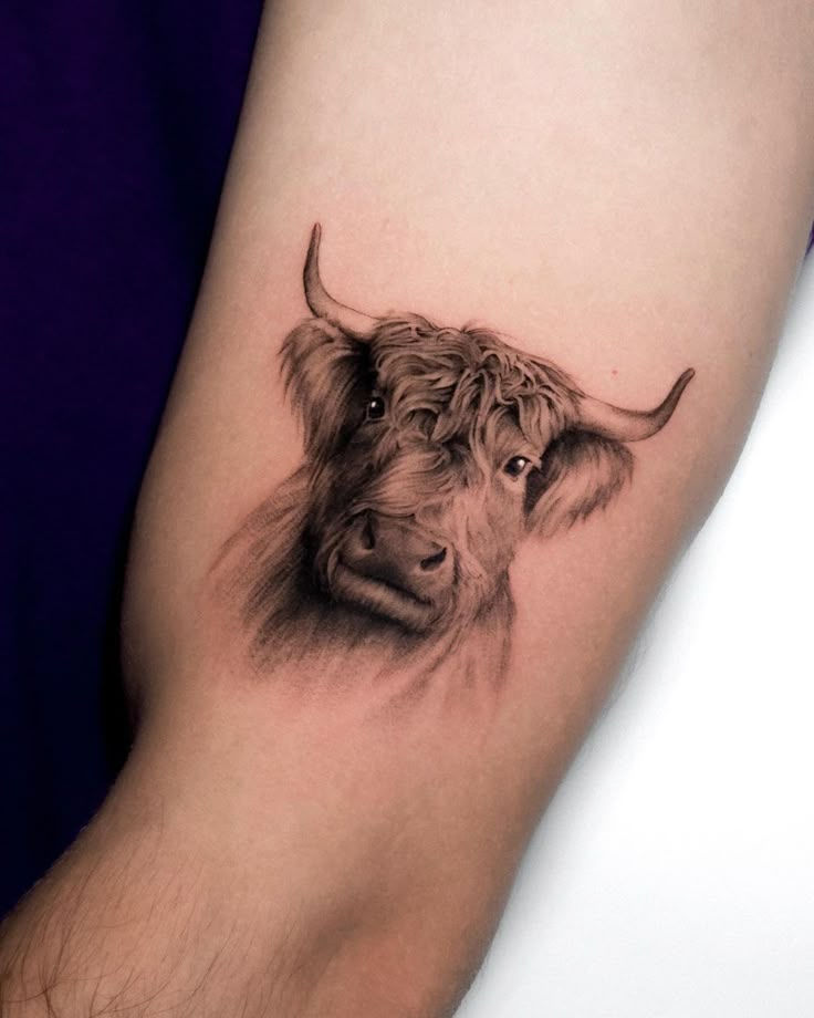 Cow Tattoos