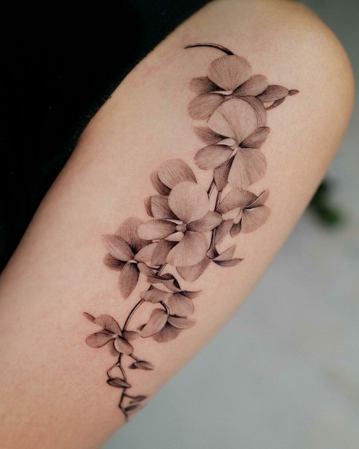 Sitemapcdatahttpsmodeinf Inetcomtatouage Orchidee Avant Bras