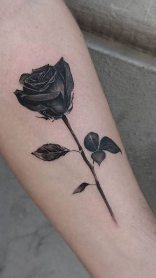 Black Rose Tattoo