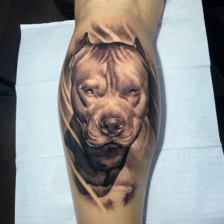 Pitbull Tattoos