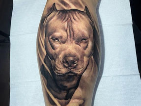 Pitbull Tattoos: Symbolism, Styles, and Personal Significance