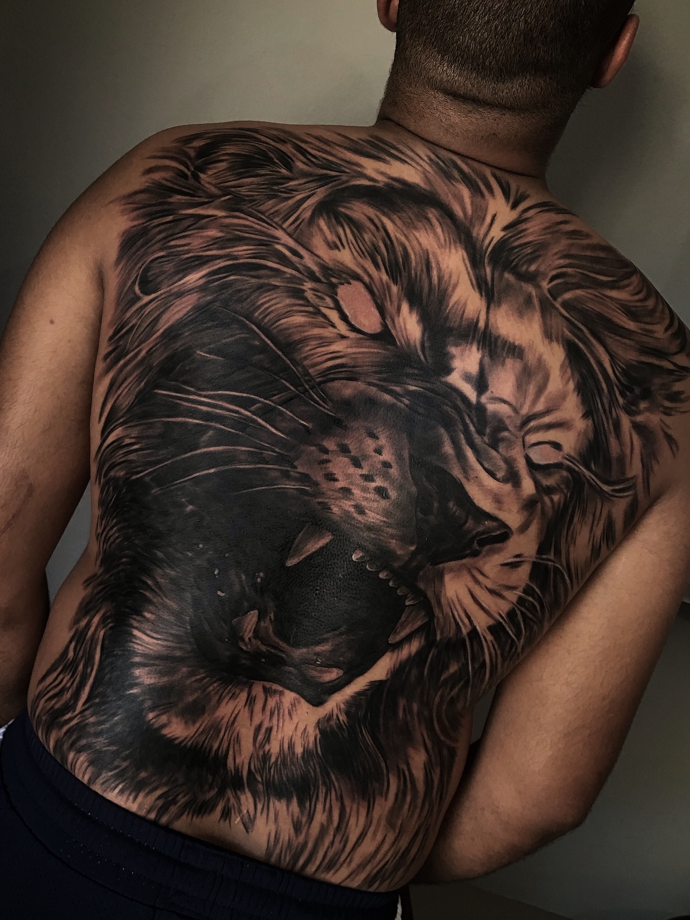 Lion Tattoo Meanings, Designs, and Ideas