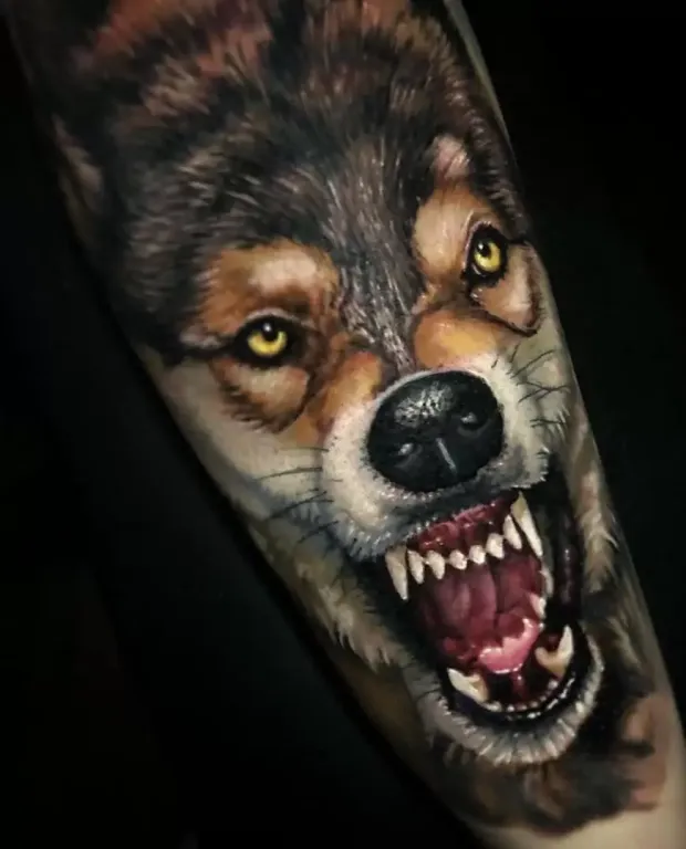 Fotos para Tatuagem de lobo