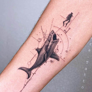 Tatuagem Tubarão