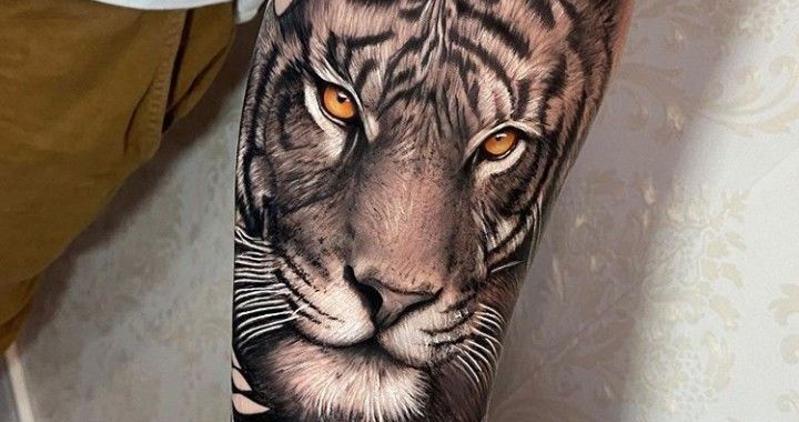 Tiger Tattoo