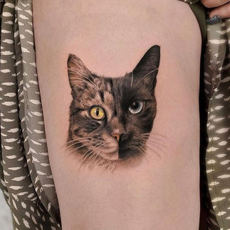 Cat Tattoos