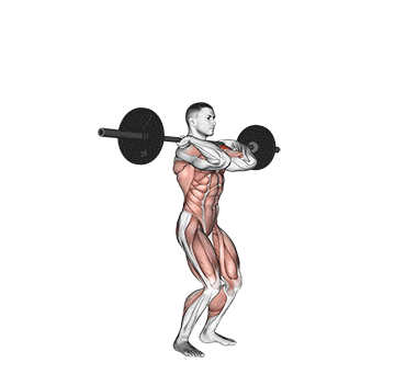 Push Press