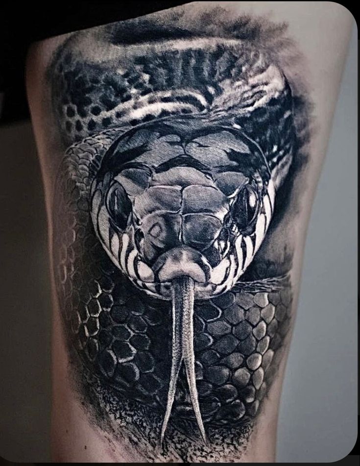 Snake tattoo
