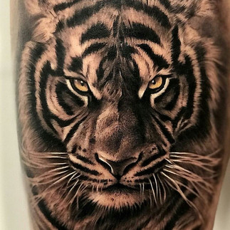 Tatuagem de Tigre