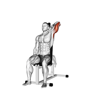 Seated One-Arm Dumbbell Triceps Extension