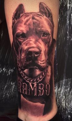 Pitbull Tattoos
