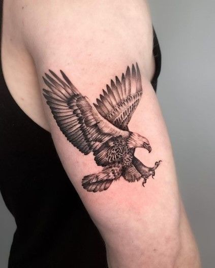 Hawk Tattoo