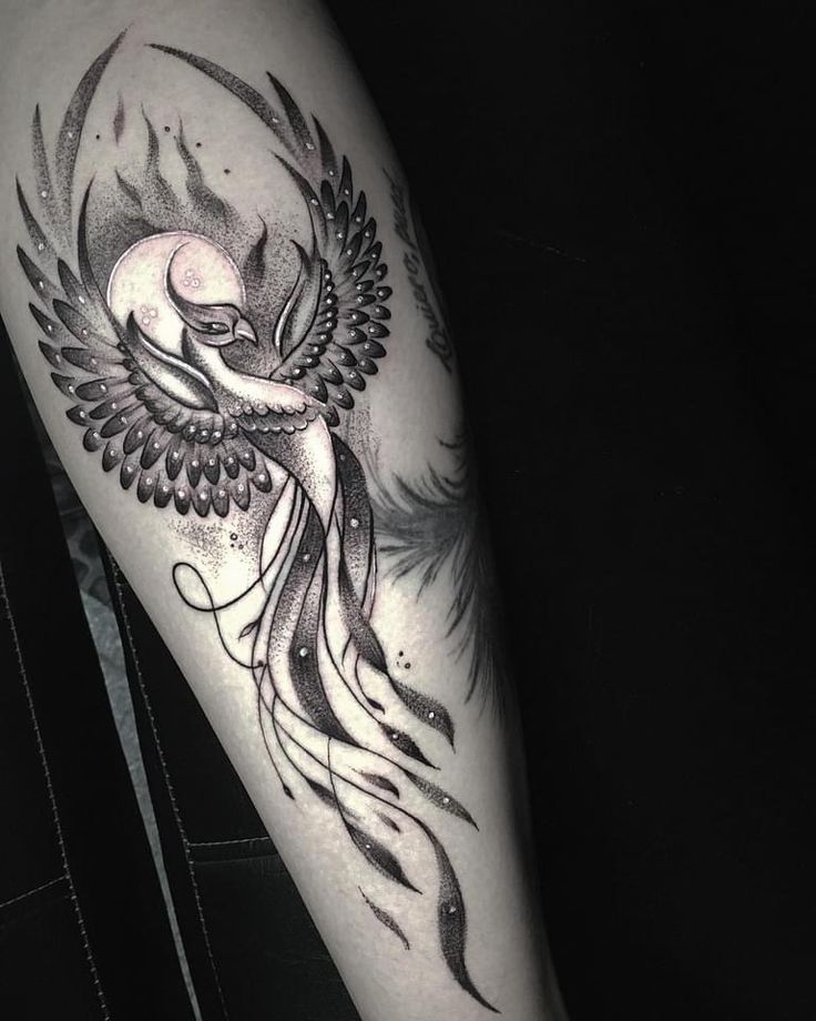 Phoenix Tattoo