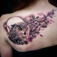Owl Tattoos: Deep Meanings, Symbolism, and 2026 Design Ideas