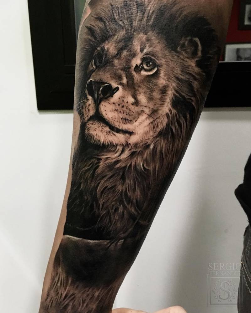 Tatuagem de Leão