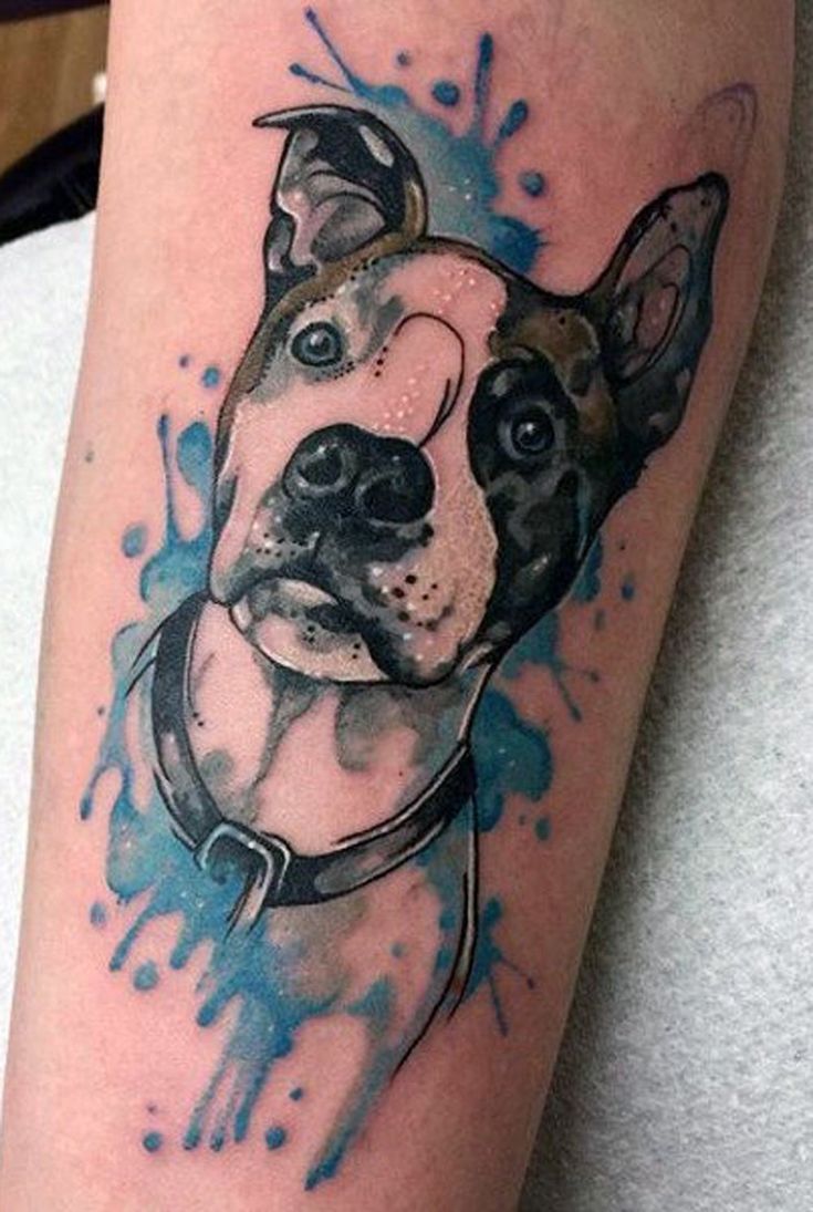 Pitbull Tattoos
