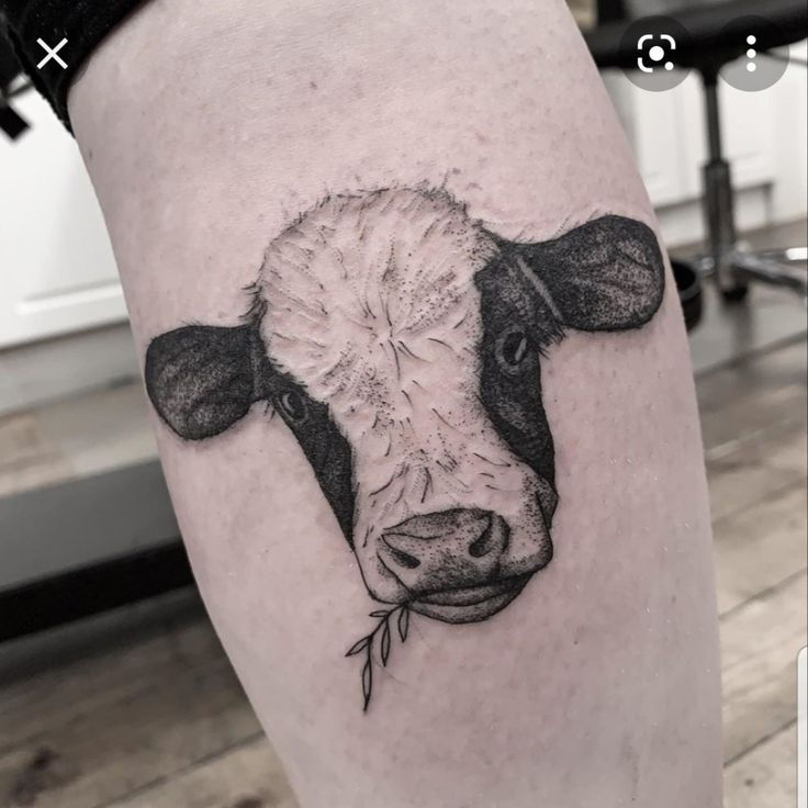 Cow Tattoos