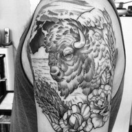 Bison Tattoo